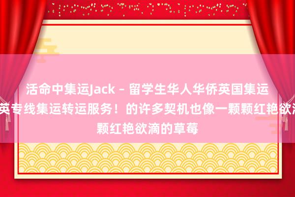 活命中集运Jack – 留学生华人华侨英国集运专线/中英专线集运转运服务！的许多契机也像一颗颗红艳欲滴的草莓